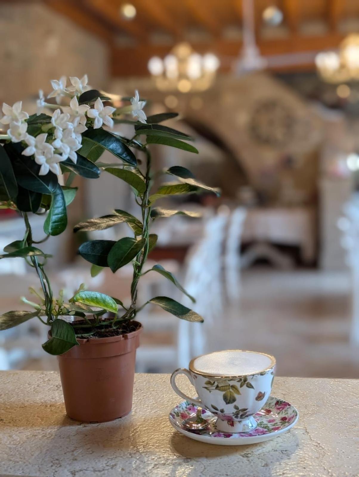 Agriturismo Le Fontanelle Da Valente Монтикири Екстериор снимка